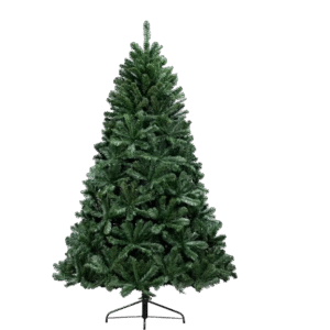 Arbor Vitae Fir Tree (4ft to 20ft)